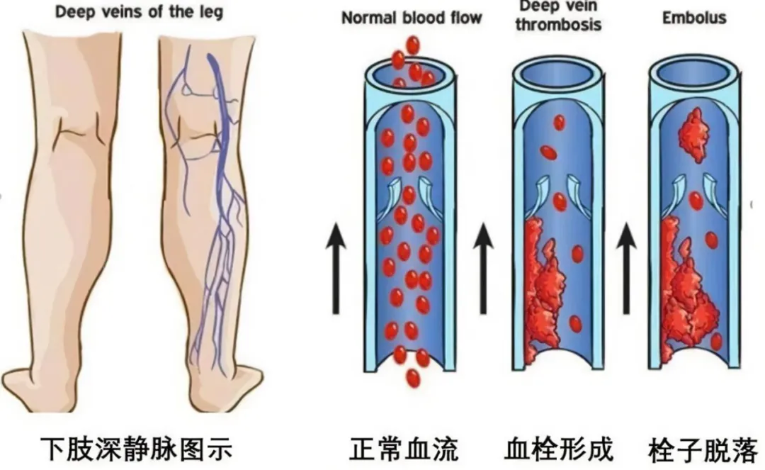 微信图片_20241118092346.png