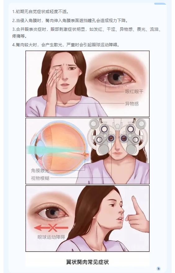 05.png